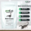 ecoEat-Edible-Asian-Forest-Black-Scorpions_2