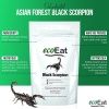 ecoEat-Edible-Asian-Forest-Black-Scorpions_4