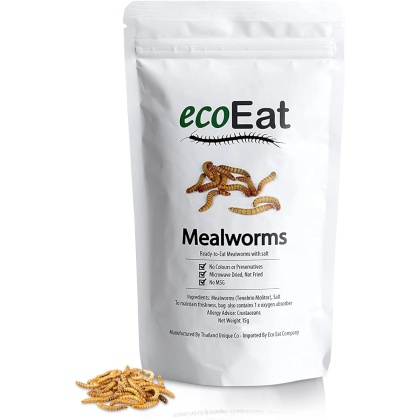 ecoEat-Edible-Insects-Edible-Mealworms