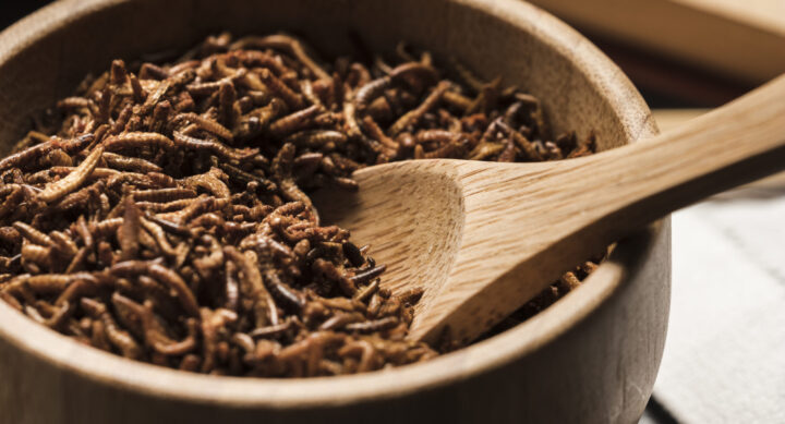 close-up-wooden-bowl-full-larvae